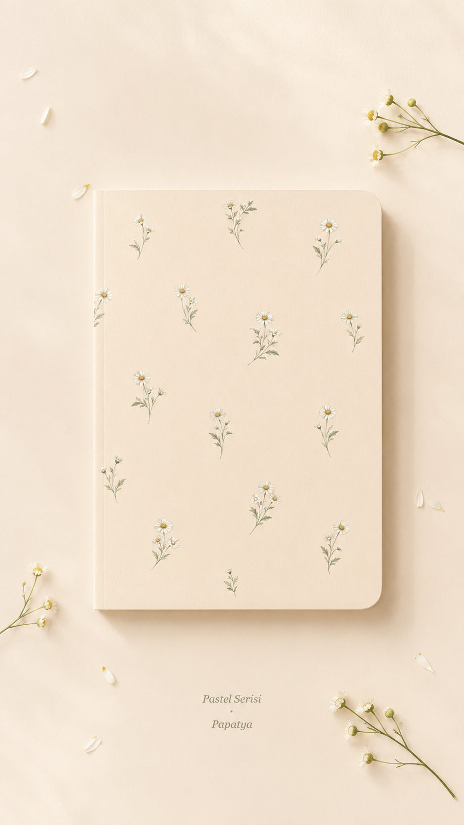 Papatya Defter